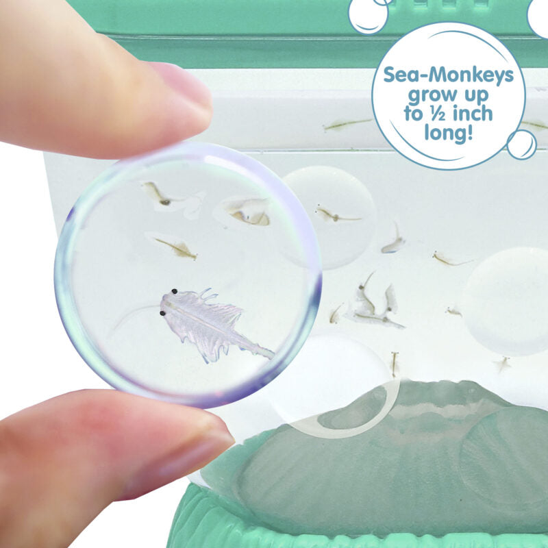 Sea-Monkeys Ocean Volcano - US 8825